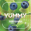 Тютюн Yummy (Яммі) Лайм, Чорниця 250 г. Фото.